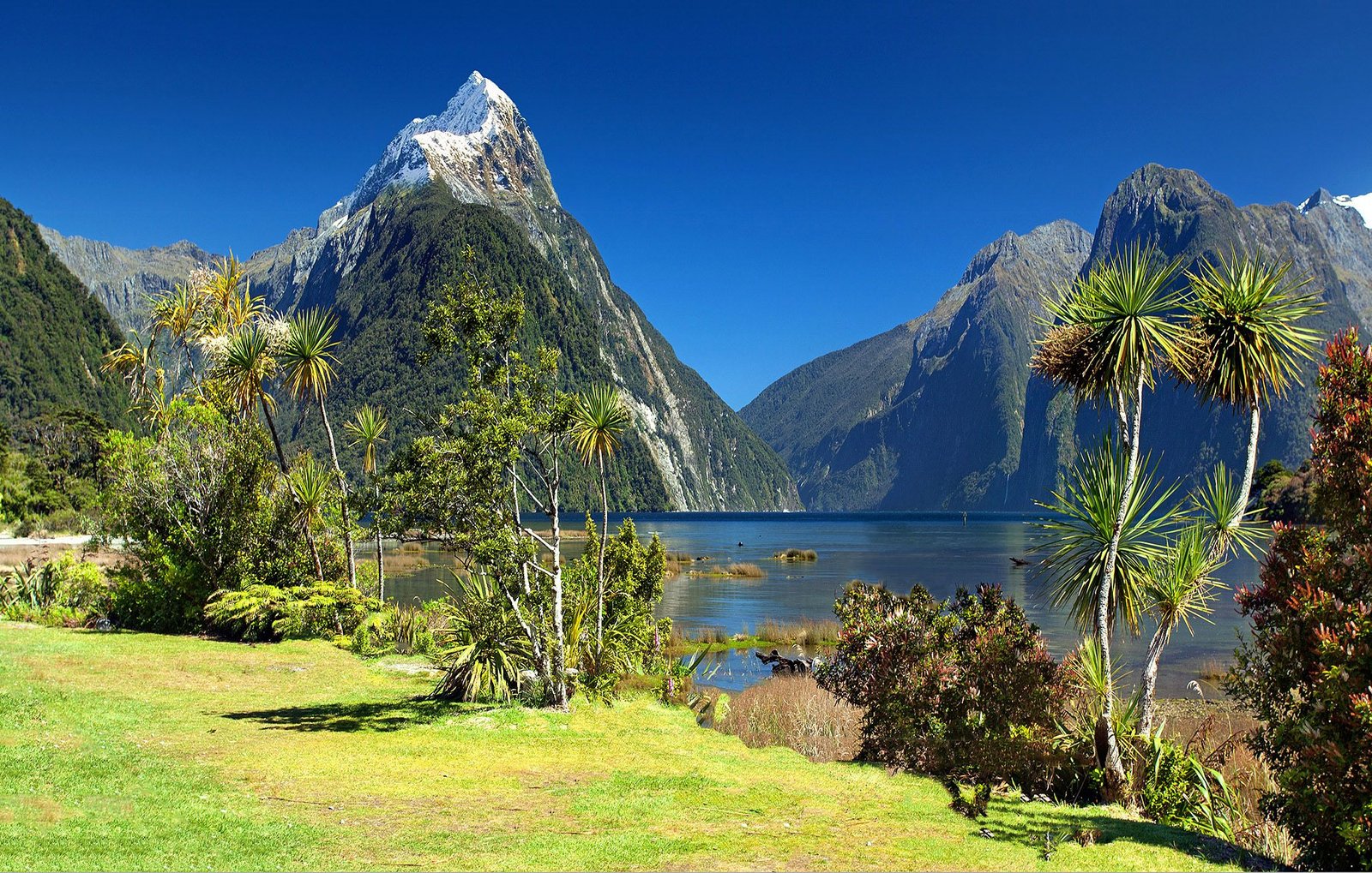 New Zealand Travel Itinerary: 3 Weeks Across Both Islands New Zealand Travel Itinerary: 3 Weeks Across Both Islands