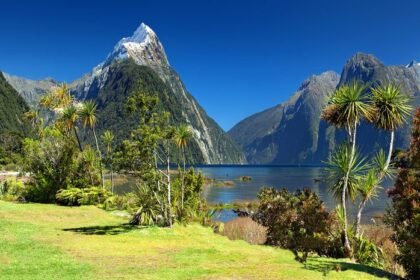 New Zealand Travel Itinerary: 3 Weeks Across Both Islands